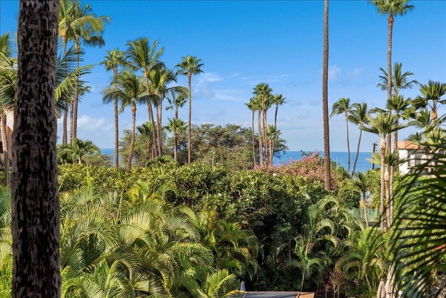 2695 S KIHEI RD #5-205