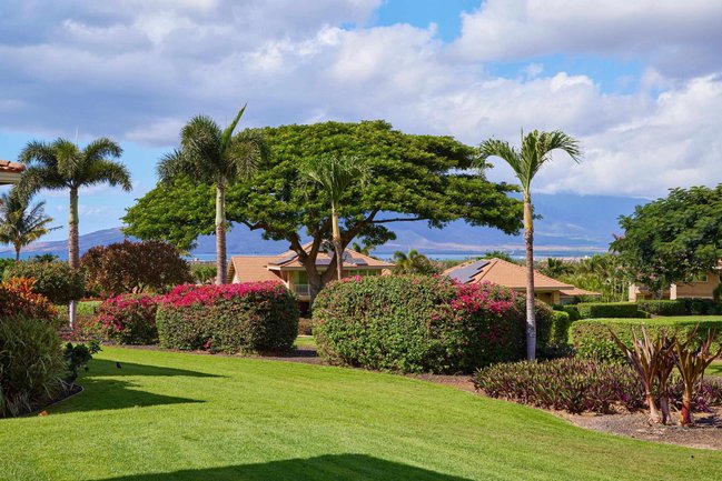 1294 HIHIMANU ST #138