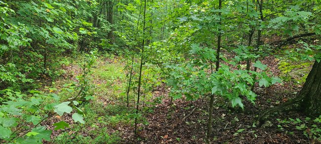 0 DEER RUN RD