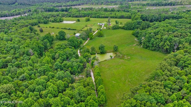 1038 NEWTON LANE, 89 ACRES