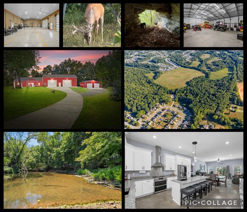 1539 CEDAR SPRINGS CIR